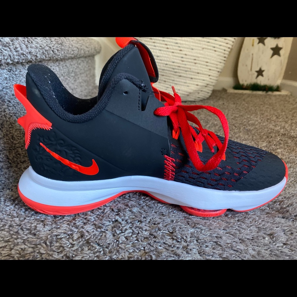 Lebron Witness V